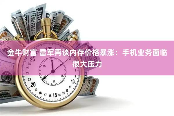金牛财富 雷军再谈内存价格暴涨：手机业务面临很大压力
