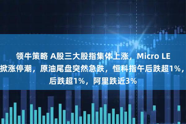 领牛策略 A股三大股指集体上涨，Micro LED、智能电网掀涨停潮，原油尾盘突然急跌，恒科指午后跌超1%，阿里跌近3%