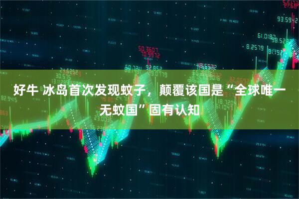 好牛 冰岛首次发现蚊子，颠覆该国是“全球唯一无蚊国”固有认知