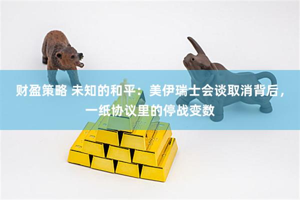 财盈策略 未知的和平：美伊瑞士会谈取消背后，一纸协议里的停战变数